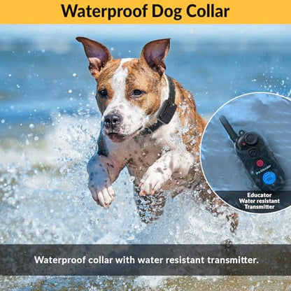 E-Collar Educator Pro PE-900 Dog Training Collar, 1 Dog, Black | 1/2 Mile Range, 256 Levels of Stimulation, Tone & Vibration, Waterproof, Rechargeable - size: 1 Dog