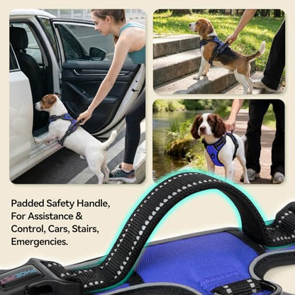 PHOEPET No Pull Dog Harnesses for Small Puppies Reflective Adjustable Front Clip Vest with 2 Metal Leash Attachment Hooks Soft Handle [Over The Head Design](S, Royal Blue) - color: Royal Blue, size: Small
