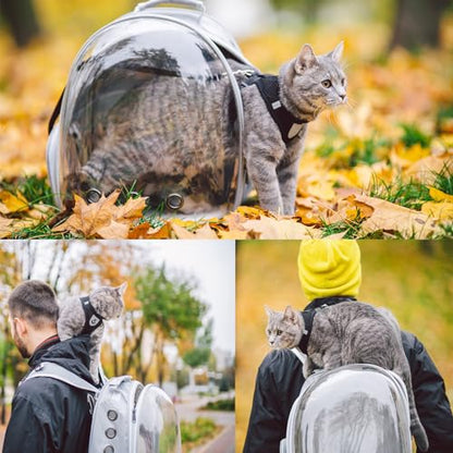 Cat Backpack Carrier, Pet Cat Carrier with Ventilated Design for Carrying Puppy Cats, Pet Carrier Backpack for Traveling/Hiking/Camping/Outdoors Airline Approved Travel Carrier(Grey) - color: Grey