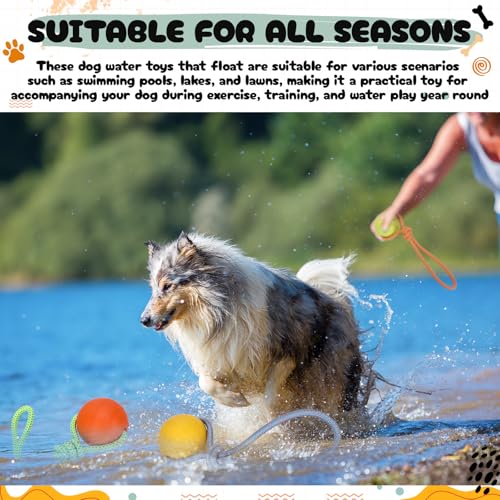 Skylety 4 Pack Floating Dog Toy with Rope Handle EVA Dog Bumper Throw Stick for Water Training Fetch Retrieving High Visibility Pool Water Toy for Beach Diving Pool Yard Summer Outdoor Play, Ball - style: Ball