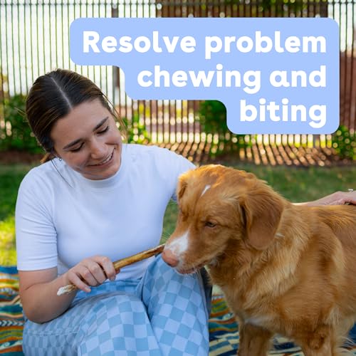 Pupford Thick Bully Sticks for Dogs & Puppies, Smoked for Improved Smell, Natural, Long-Lasting, Single Ingredient Chews for Small & Medium Breeds (6", 10 Count) - size: 10 Count (Pack of 1), style: 6 Inch