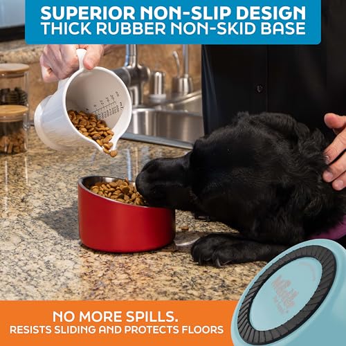 Master Pet Supply Stainless Steel Slanted Dog Cat Food Bowl - 16 oz Heavy Duty - Aqua Sky, Double Wall Insulated, Non-Slip Elevated Bowl for French Bulldogs Pugs Cats, Anti Rust Dishwasher Safe - color: Aqua Sky, size: 2 Cups (16 oz)