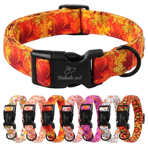 Fall Dog Collar, Gold Maple Leaves Pattern Fall Thansgiving Puppy Collar, Soft Adjustable Cotton Holiday Dog Collars for Small Medium Large Boy&Girl Dogs XS - color: Gold Maple Leaves, size: XS