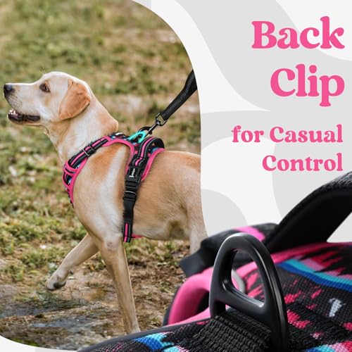 rabbitgoo Dog Harness Small Sized, No Pull Easy On & Off with 3 Buckles Pet Harness, Adjustable Soft Walking Vest with 2 Clips and Handle, Reflective for Small Dogs, Mountain Rose, S - color: Mountain Rose, size: Small