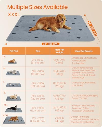 Feandrea Washable Dog Pee Pads, 2 Pack, Reusable, 72 x 72 Inches, XXXL, Waterproof Pet Training, Leakproof, Non-Slip, Super Absorbent, Gray UPTD072G01 - size: XXXL (72"L x 72"W)