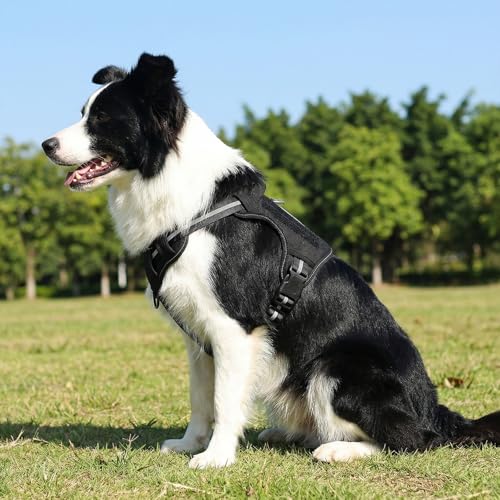 Amazon Basics No Pull Dog Harness, Adjustable Front Clip, Tactical Vest, Large, Black - size: Large