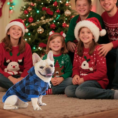 Plaid Dog Hoodie Pet Clothes Sweaters with Hat - color: Blue, size: Medium