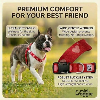 Heart Small Dog Harness – Soft Webbing, Front & Back Clip, No-Pull Design, Lightweight (Red, Small) - color: Red, size: Small