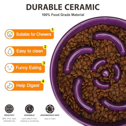 Slow Feeder Dog Bowl, Ceramic 2 Cups Dog Food Bowls for Small, Medium, and Large Breed, Anti-Slip Maze Puzzle Food Dish to Slow Down Eating (Deep Purple, 2 Cups) - color: Flower - Deep purple
