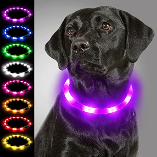 Joytale Light Up Dog Collar, Rechargeable Rainproof LED Collar for Night Walking Safety, Soft Silicone Glow in The Dark, Suitable for Small Medium Large Dogs, Purple - color: Purple