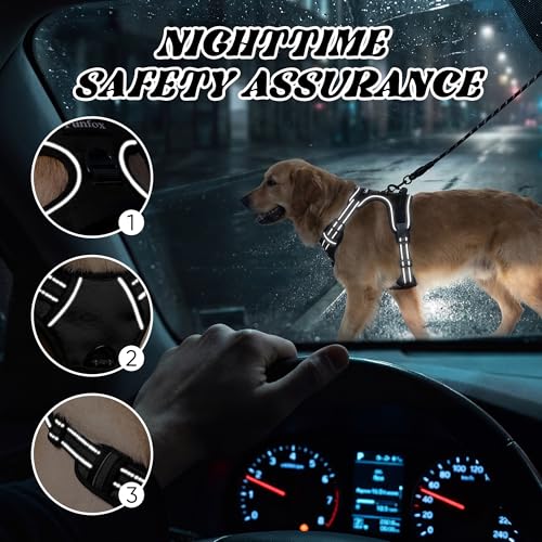 Funfox No Pull Dog Harness, Adjustable Pet Vest with Control Handle & Front Clip, Reflective Design for Small Medium Large XL Dogs, Black M - color: Black, size: M
