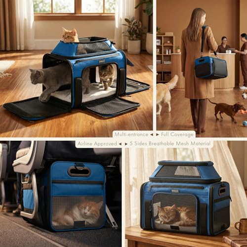 Top-Expandable Pet Carrier with Treat & Pet Window,17x11x9.5 Inch Alaska Hawaiian Airline Approved,Soft-Sided Dog Carrier for Small Dogs and Cats,Travel Cat Carrier with Locking Safety Zippers,Blue - color: Blue, size: 17.0"L x 11.0"W x 9.5"H