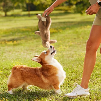 Fuzzwoof No-Stuffing Bunny Squeaky Dog Toy, Cute Plush Puppy Teething Toy to Keep Them Busy, Rabbit Interactive Tug of War & Dental Chew for Small Medium Large Dogs - style: Bunny