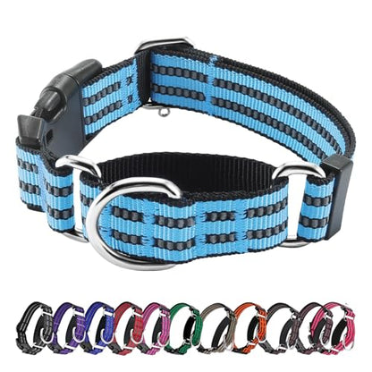 Hikiko Martingale Dog Collars Reflective Nylon Dog Collar with Quick Release Buckle Adjustable Training No Slip Dog Collar (Large, Light Blue) - color: Light Blue, size: Large