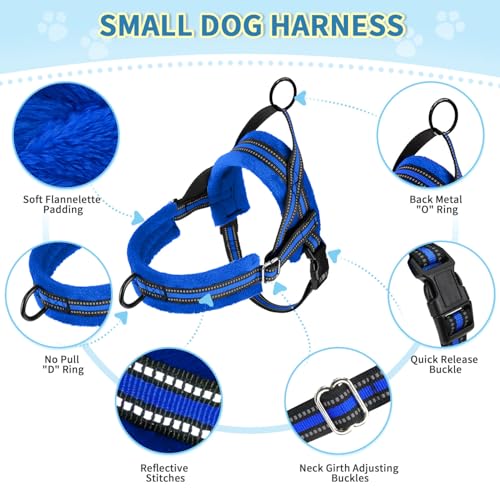 Lukovee No Pull Dog Harness and Leash Set, Soft Padded Small Dog Harness, Neck & Chest Adjustable Reflective Vest Puppy Harness with 4ft Lightweight Anti-Twist Dog Leash for Small Dogs (XXS, Blue) - color: Blue, size: XXS ( Chest 11.5'' ~ 15'')