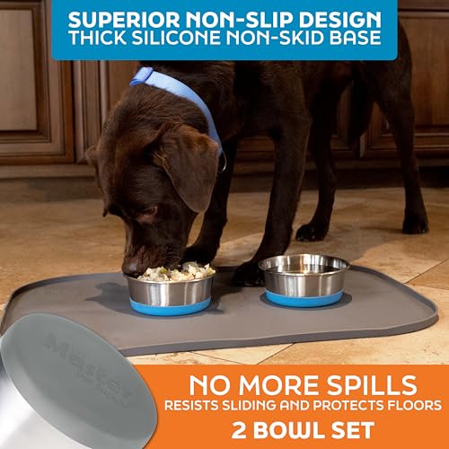 Master Pet Supply Stainless Steel Dog Bowls Set of 2 with Extra Thick Silicone Base - 4 Cup (32 oz) Graphite, Non-Slip, Dishwasher Safe Metal Bowls, Pet Dog Food Bowl for Dogs, Cats, Anti Rust - color: Graphite, size: 4 Cups (32 oz) 2 Pack