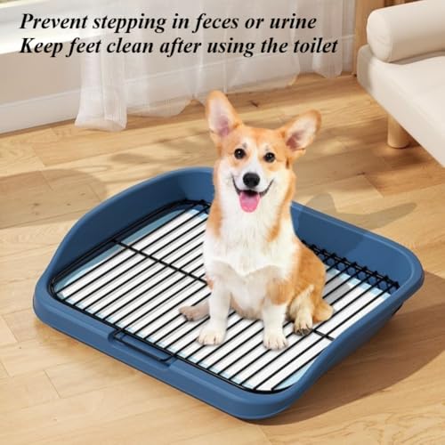 Mesh Dog Potty Tray Removable Stable Structure - Indoor/Outdoor Dog Training Toilet Litter Box for Small & Medium Dogs(Blue) - color: Blue