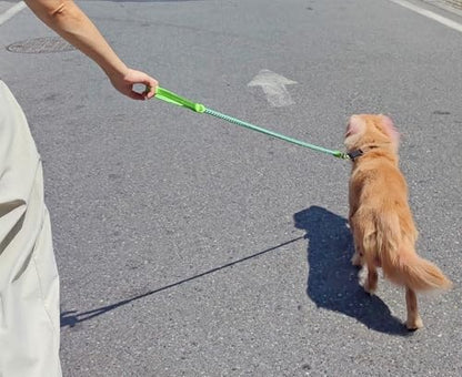 2/3/4/6/10 Foot Reflective Dog Leash Strong Nylon Rope Braided Heavy Duty for Large and Medium Small Dogs Walking Training Leads (Green, 3ft * 1/2") - color: Green, size: 3ft * 1/2"