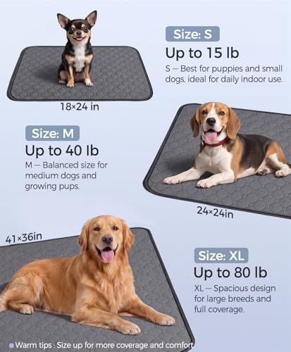 Doglike [Upgraded Silver-Ion Odor] Washable Pee Pads for Dogs – Ultra Absorbent, Leak-Proof, Non-Slip & 5-Hour Quick-Drying Reusable Puppy Training Pads for Home, Crate & Sofa, 24" x 24" (2 Pack) - size: 24" x 24"【Industry #1 Ag+ Fabric Application】
