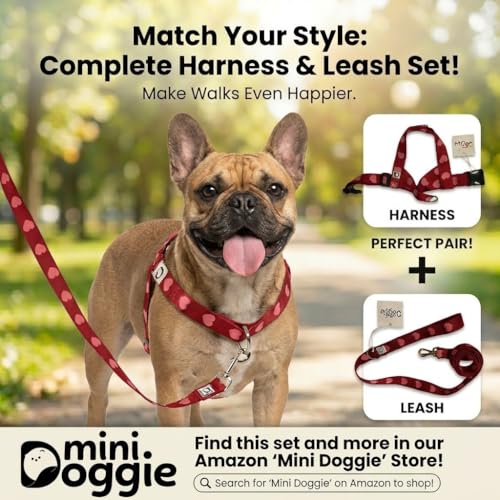 Heart Small Dog Harness – Soft Webbing, Front & Back Clip, No-Pull Design, Lightweight (Red, Large) - color: Red, size: Large