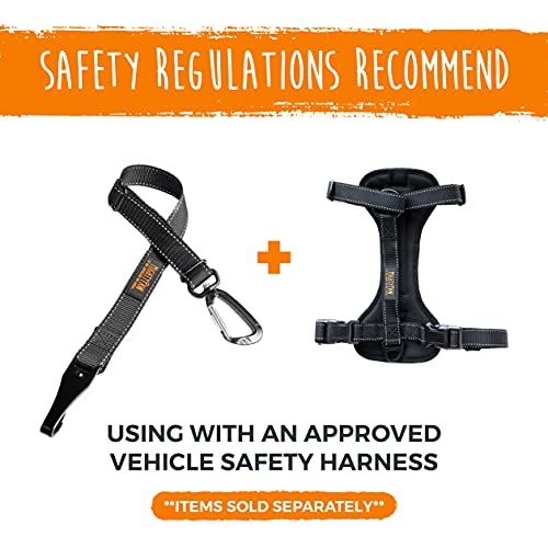 Mighty Paw Dog Seat Belt For Car - LATCH Compatible Adjustable Dog Seatbelt Harness for Small, Medium and Large Pets. Distraction Free Driving, Heavy-Duty Design with Aviation Grade Aluminum Carabiner - style: Latch Bar Attachment