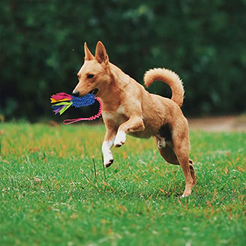 wodoca Dog Tug Toy, Dog Toys for Aggressive Chewers - Strong Squeak Rope Toy, Easy to GRAP Chew Toy for Large Dogs, Puppies, Middle Dogs - Ideal for Training and Play, Hand Made - color: Blue Chenille, Red Webbing