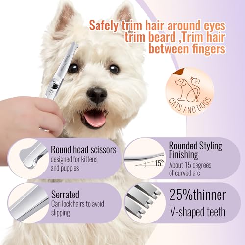 Dog Grooming Scissors: 3 in 1 Pet Shears Set Made of Advanced JP440C Stainless Steel Alloy for Trimming Dogs Cats and Other Pets Face and Paws - style: SET