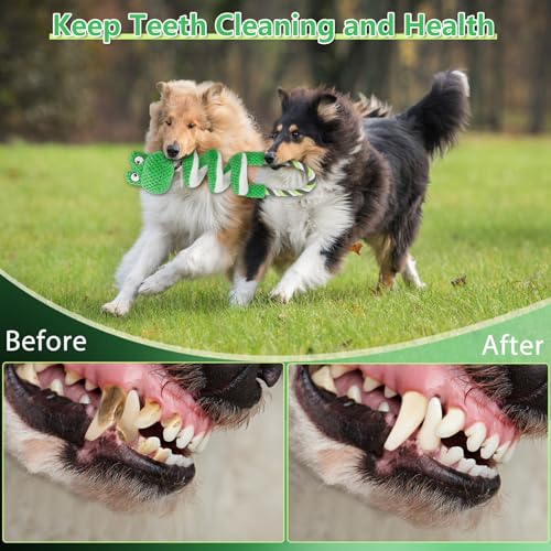 Letsmeet Interactive Squeaky Dog Toys with Pull Rope, Large Dog Tug of War Toy, Plush Puppy Chew Toys for Dental Health, Great for Small, Medium and Big Dogs - color: Green