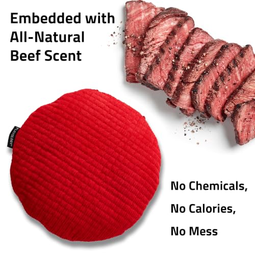 Playology Dog Toys | Plush Toy Crinkle Disc for Large Dogs | Beef Scented Jumbo Plush Chew Toy - size: Jumbo Disc, style: Beef