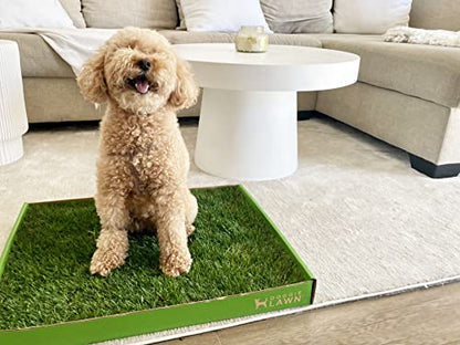 DoggieLawn Real Grass Puppy Pee Pads- 24 x 16 Inches - Perfect Indoor Litter Box for Dogs - No Mess, Easy-to-Use - Potty Training for Pets - Disposable Bathroom with Real Living Grass - size: Standard 24x16 inches
