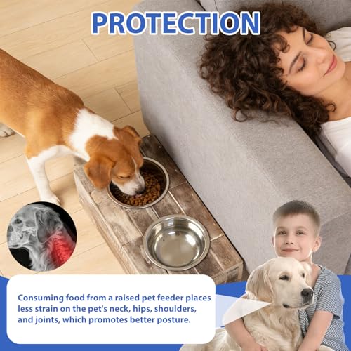 Huntley Pet Elevated Dog & Cat Double Bowl Feeder Stainless Steel Bowls (Berjen, Small) - size: Small