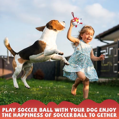 QDAN Dog Toy Balls: Pet Training Soccer Ball Dog Toy with Straps- Puppy Extra Small Dog Balls Beach Pool, Dogs Herding Ball, (5 Inch) - color: Red, size: 5 Inch
