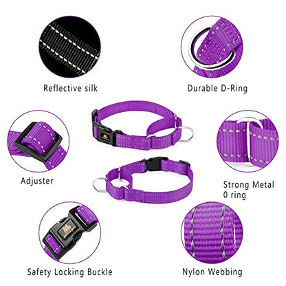 PLUTUS PET Reflective Martingale Collar with Quick Snap Buckle,No Pull Dog Choker Collar for Small Medium Large Dogs,XS,Purple - color: Purple, size: XS：10"-12"