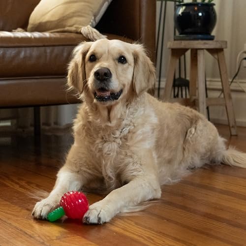 Outward Hound Gummiez Cherries Dog Toy & Treat Stuffer, 4″ x 4″ Cherry-Scent Interactive Chew for Dogs, Promote Healthy Teeth, Gums & Mental Enrichment, Reduce Boredom & Support Dental Health - color: Cherries