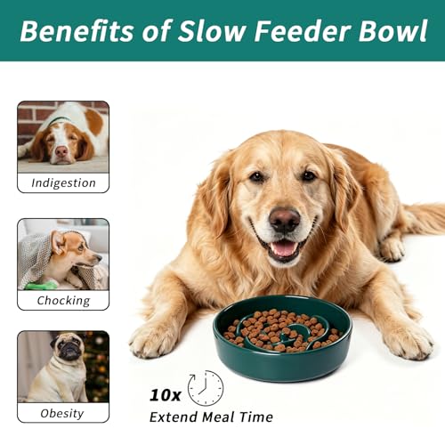 Slow Feeder Dog Bowls,Ceramic Slow Feeding Bowl for Small and Medium Breed,Anti Choking Puzzle Dog Food Bowl with Non-Slip Base for Fast Eater(Green, S-0.6CUP) - color: Green