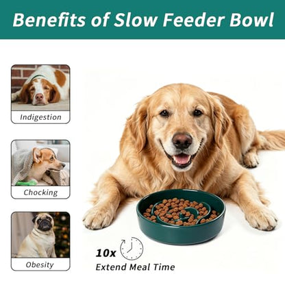 Slow Feeder Dog Bowls,Ceramic Slow Feeding Bowl for Small and Medium Breed,Anti Choking Puzzle Dog Food Bowl with Non-Slip Base for Fast Eater(Green, S-0.6CUP) - color: Green