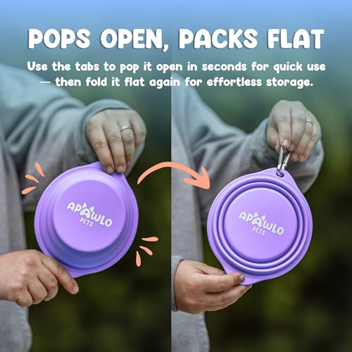 Collapsible Dog Bowl - 800ml/27 oz Portable Silicone Travel Water Bowl for Dogs with Carabiner | Foldable, Dishwasher Safe | Hiking, Camping Dog Essentials & Outdoor Pet Feeding - Purple - color: Purple