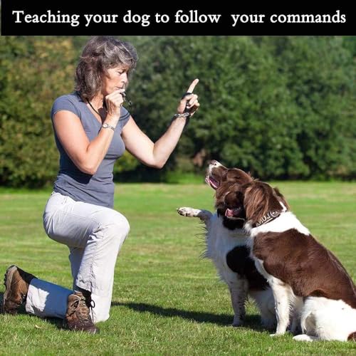 Dog Whistle to Stop Barking, Adjustable Pitch Ultrasonic Training Tool Silent Bark Control for Dogs-2 Free Lanyard Strap with Pack of 2 PCS Pet Whistle