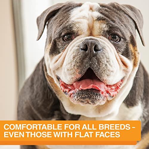 Neater Feeder Express Mess Proof Dog Bowls Elevated for Medium and Large Breed – Made in USA – No Spill Raised Slow Feeder Elevated Dog Bowl Stand, Slow Feed Food and Water Bowl Set, Cappuccino - color: Cappuccino, size: Medium to Large w/ 9 Peak Slow Fee
