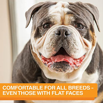 Neater Feeder Express Mess Proof Dog Bowls Elevated for Medium and Large Breed – Made in USA – No Spill Raised Slow Feeder Elevated Dog Bowl Stand, Slow Feed Food and Water Bowl Set, Almond - color: Almond, size: Medium to Large w/ 9 Peak Slow Feed Bowl
