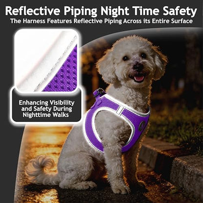 Kruz Dog Harness (Chest 16"-17", Weight 10–15 lbs) Athletica Adjustable Heavy Duty No Choke Puppy Vest for Small Dogs Lightweight Air Mesh, Reflective, Puppy Essentials – Amethyst, Medium - color: Amethyst, size: Medium