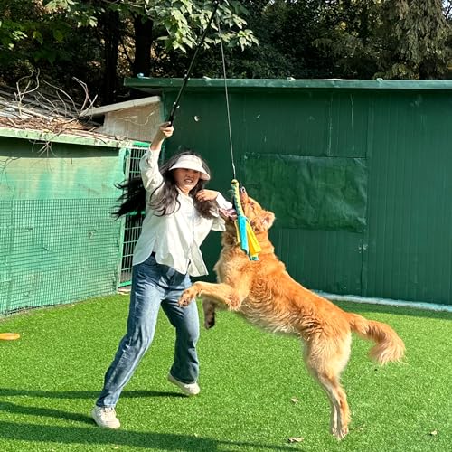 Flirt Pole for Dogs, Interactive Toys Tug-of-war for Dogs, Five-Section Retractable Adjustable Length,for Outdoor Exercise & Training for Small Medium Large Dog - size: 4 switch-59.1Inch