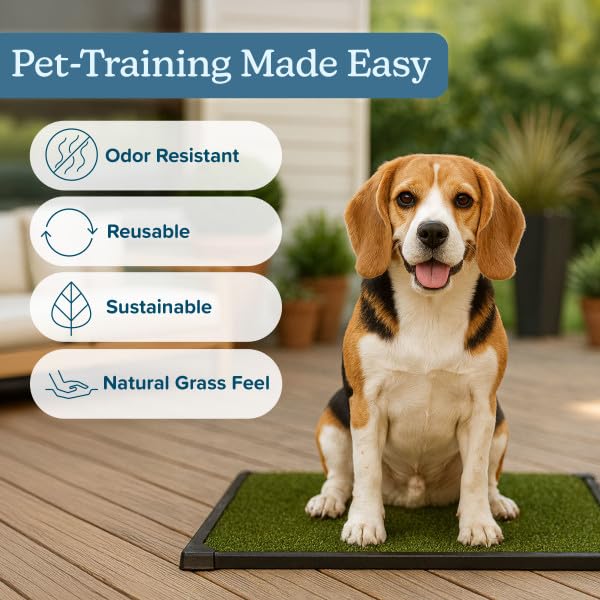 Artificial Grass Puppy Pee Pad for Dogs and Small Pets - 20x25 Inch, Reusable 3-Layer Turf Pads for Dogs with Tray - Indoor and Outdoor Fake Grass Potty Pet Supplies by PETMAKER - size: Medium 3-Layer System