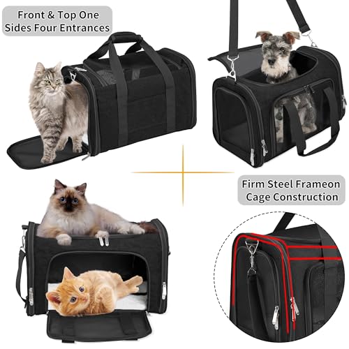 Soft-Sided Cat/Dog/Pet Carrier, Collapsible Pets Travel Carriers for Big Cats/Small Dogs with Shoulder Strap & Removable Mat, Mesh Puppy Carry Bag, Up to 25 Lbs(Black) - color: BLACK, size: 20"L x 13"W x 13"H