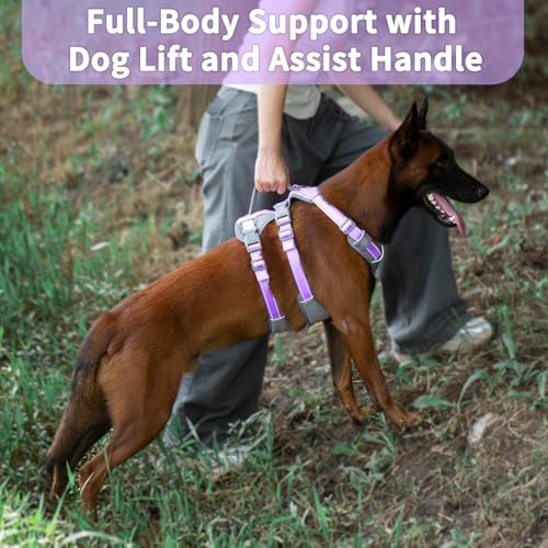 Huntboo Reflective Dog Harness with Handle, Escape Proof, No Slip, Breathable, Lightweight,Adjustable Lift Harness for Small, Medium,and Large Dogs Walking,Training,and Running Gear(Lavender Purple,L) - color: Lavender Purple, size: Large (Pack of 1)