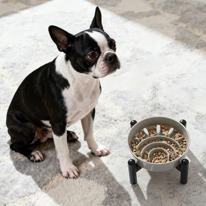 Elevated Slow Feeder Dog Bowl, 0.8 Cups Ceramic Raised Slow Feeder with Stainless Stand, 6.3 Inch Wide Lifted Dog Bowl for Small Breeds to Control Eating Speed, Grey - color: Grey, size: Small with Stand