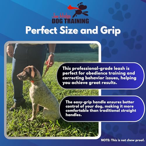 Biothane Training Tab Leash for Dogs, Brass Hardware, No Pull with Easy Grip Handle, Made in The USA, Professional Grade-Brown - color: Brown