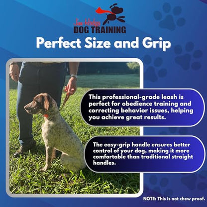 Biothane Training Tab Leash for Dogs, Brass Hardware, No Pull with Easy Grip Handle, Made in The USA, Professional Grade-Brown - color: Brown