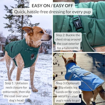 DJANGO Insulated Puffer Dog Jacket with Harness Hole – Warm, Water-Repellent Winter Dog Coat Large Dogs – Adjustable, Reflective Cold Weather Dog Apparel for Fall, Snow, Rain – Hibiscus Pink, Large - color: Hibiscus Pink, size: Large