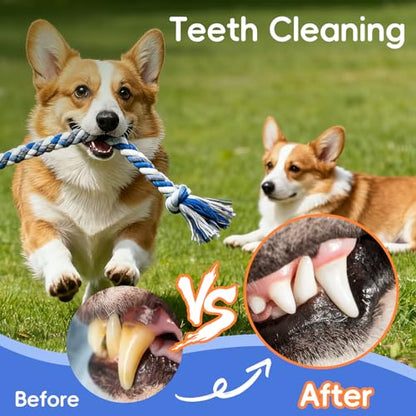 wodoca Dog Rope Toys 4 Pack, Puppy Teething Cotton Knot Chew Rope for Small Medium Dogs, Interactive Tug of War Dog Toys for Boredom, Teeth Cleaning - color: Blue